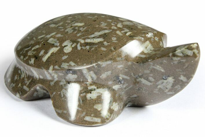 Polished Chinese Writing Rock Turtle - Arizona #366541